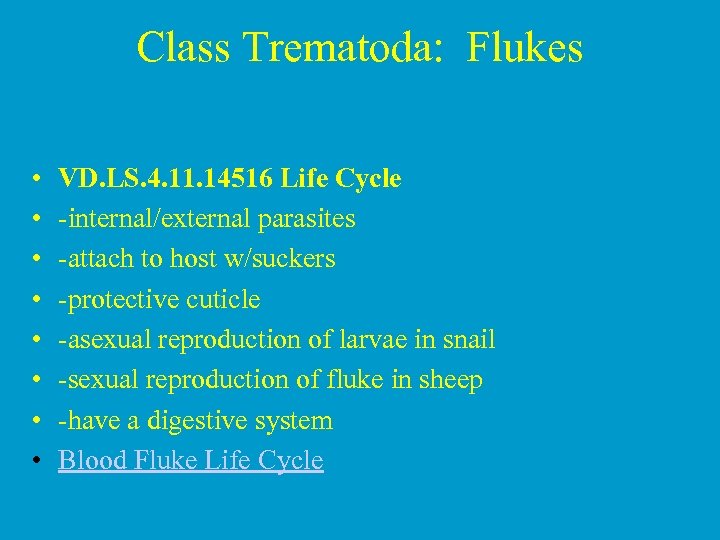 Class Trematoda: Flukes • • VD. LS. 4. 11. 14516 Life Cycle -internal/external parasites