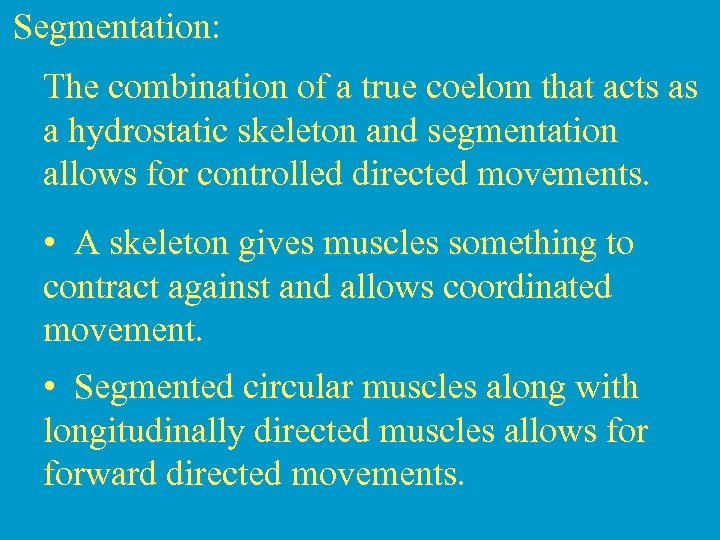  Segmentation: The combination of a true coelom that acts as a hydrostatic skeleton