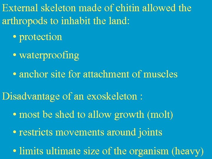 External skeleton made of chitin allowed the arthropods to inhabit the land: • protection