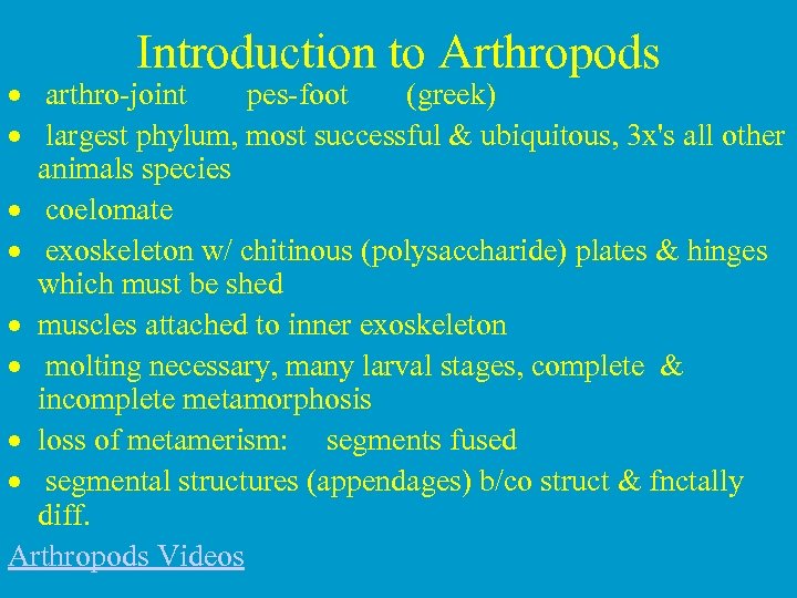 Introduction to Arthropods · arthro-joint pes-foot (greek) · largest phylum, most successful & ubiquitous,