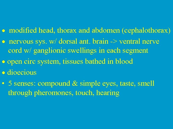 · modified head, thorax and abdomen (cephalothorax) · nervous sys. w/ dorsal ant. brain