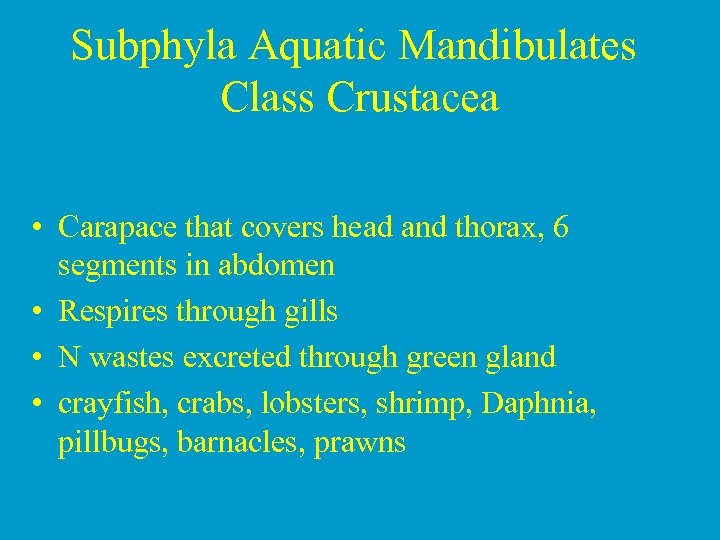 Subphyla Aquatic Mandibulates Class Crustacea • Carapace that covers head and thorax, 6 segments