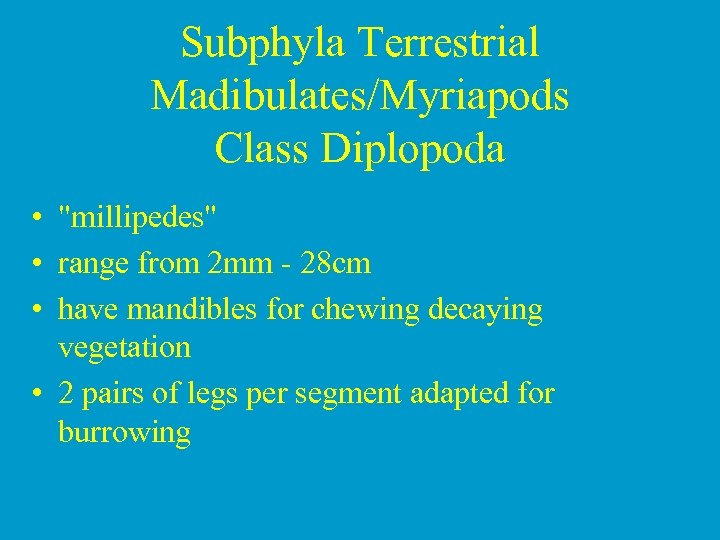 Subphyla Terrestrial Madibulates/Myriapods Class Diplopoda • 