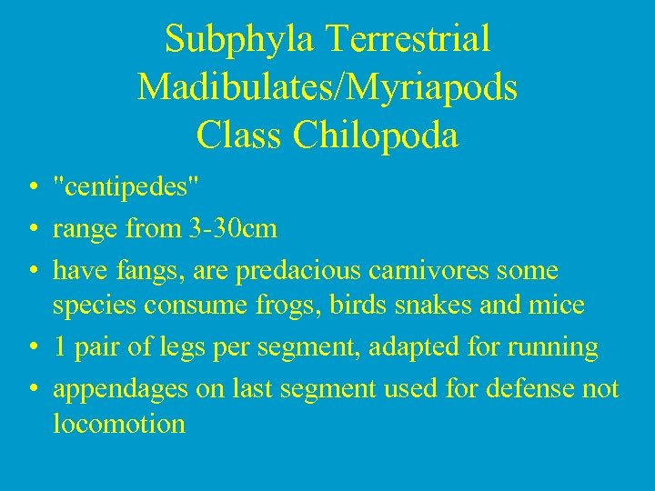 Subphyla Terrestrial Madibulates/Myriapods Class Chilopoda • 