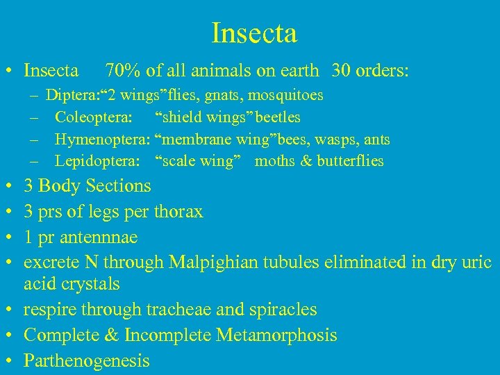 Insecta • Insecta – – • • 70% of all animals on earth 30