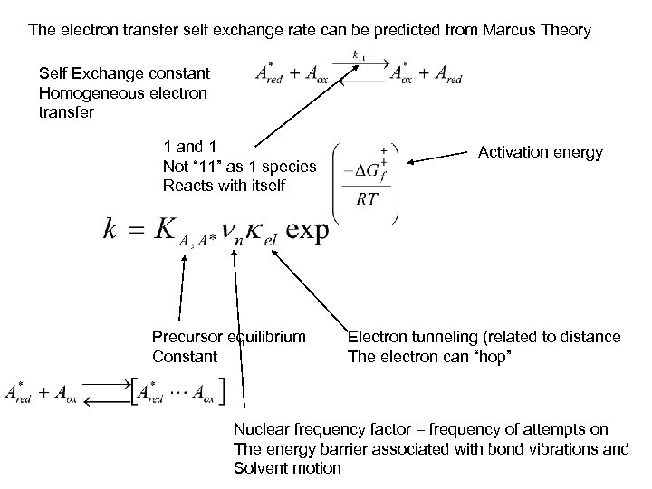 The electron transfer self exchange rate can be predicted from Marcus Theory Self Exchange