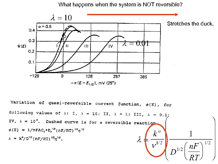 What happens when the system is NOT reversible? Stretches the duck, 