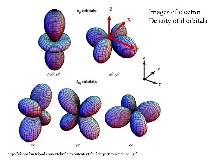 z Images of electron Density of d orbitals x y http: //vinobalan. tripod. com/sitebuildercontent/sitebuilderpictures/picture