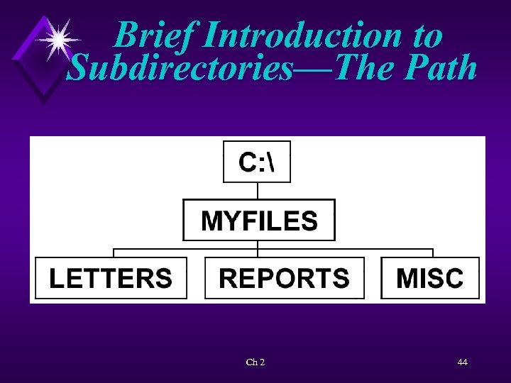 Brief Introduction to Subdirectories—The Path Ch 2 44 
