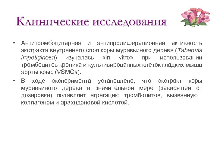Клинические исследования • Антитромбоцитарная и антипролиферационная активность экстракта внутреннего слоя коры муравьиного дерева (Tabebuia