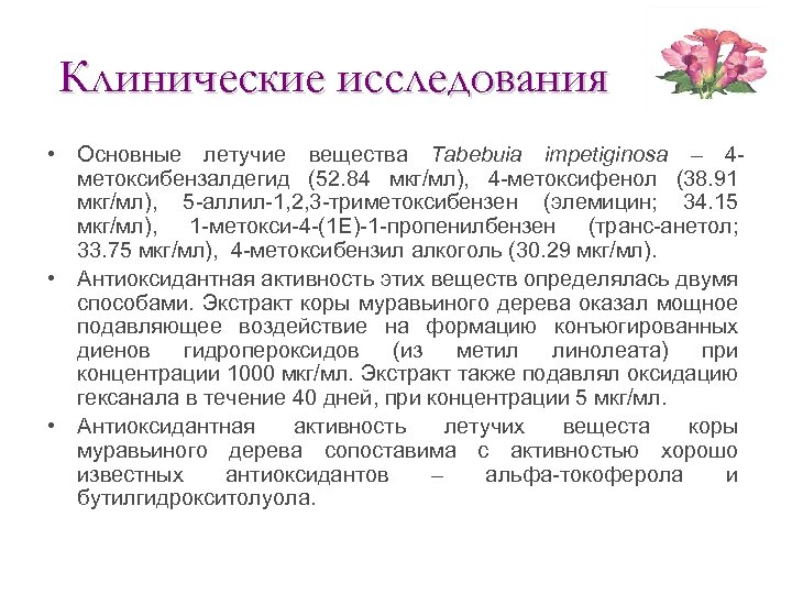 Клинические исследования • Основные летучие вещества Tabebuia impetiginosa – 4 метоксибензалдегид (52. 84 мкг/мл),