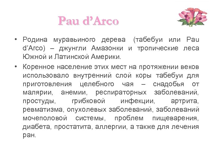 Pau d’Arco • Родина муравьиного дерева (табебуи или Pau d’Arco) – джунгли Амазонки и
