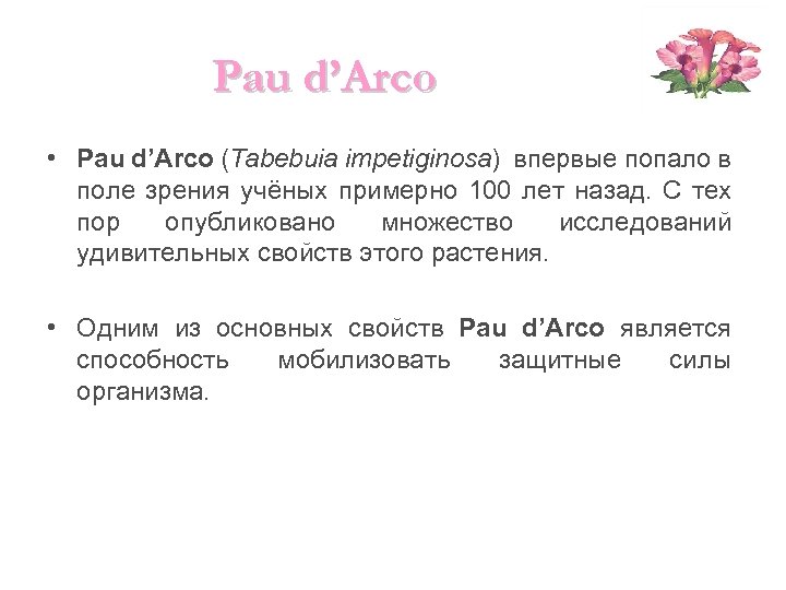 Pau d’Arco • Pau d’Arco (Tabebuia impetiginosa) впервые попало в поле зрения учёных примерно