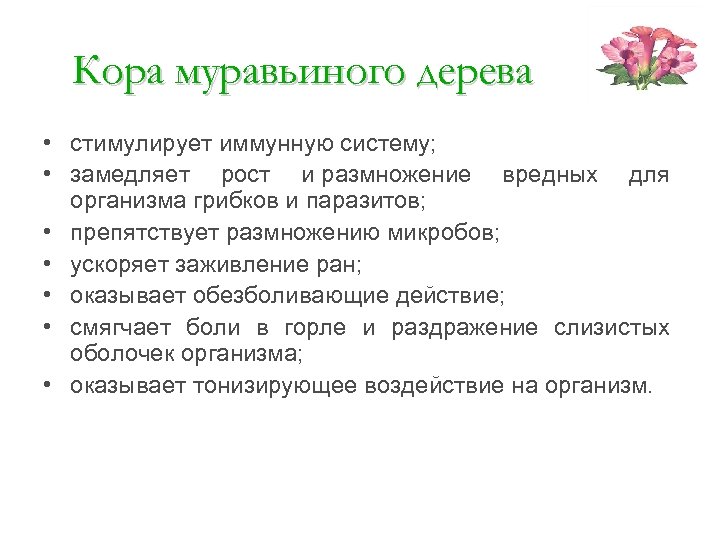 Кора муравьиного дерева • стимулирует иммунную систему; • замедляет рост и размножение вредных для