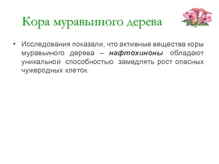 Кора муравьиного дерева • Исследования показали, что активные вещества коры муравьиного дерева – нафтохиноны