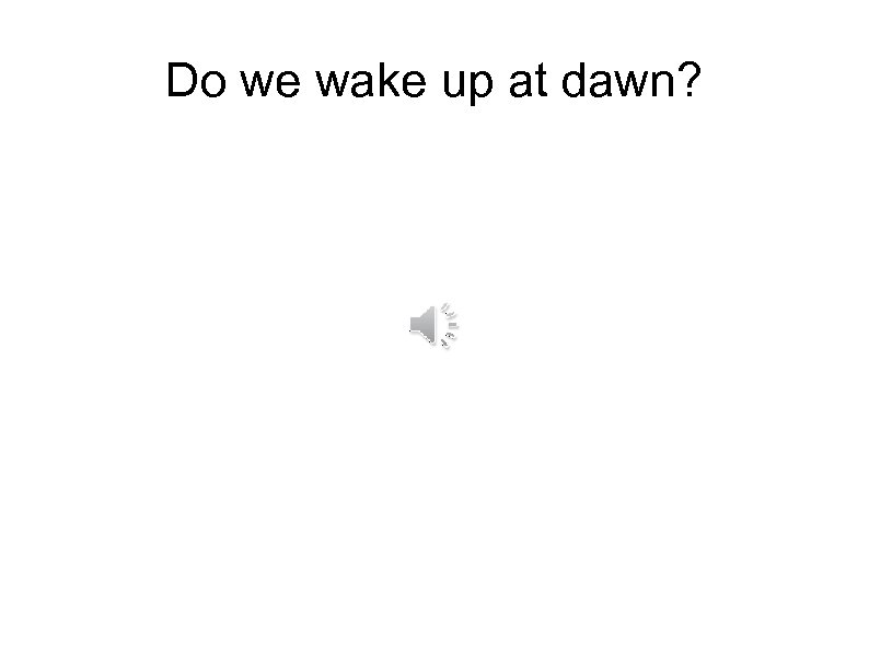 Do we wake up at dawn? 