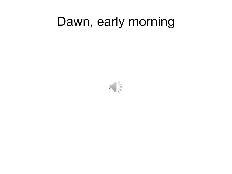 Dawn, early morning 