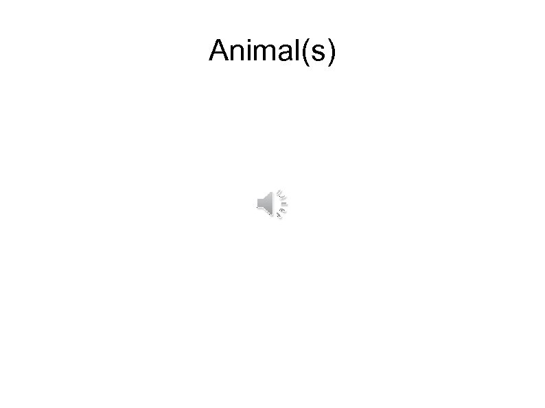 Animal(s) 