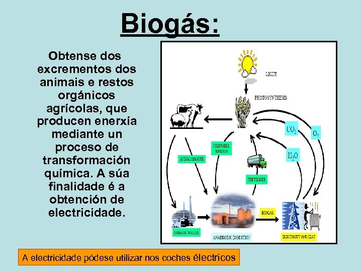 Biogás: Obtense dos excrementos dos animais e restos orgánicos agrícolas, que producen enerxía mediante