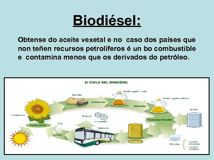 Biodiésel: Obtense do aceite vexetal e no caso dos países que non teñen recursos