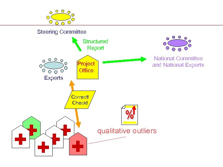 Steering Committee Structured Report Project Office National Committee and National Experts Correct! Check! qualitative