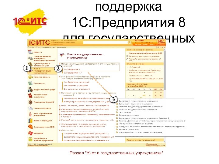 поддержка 1 С: Предприятия 8 для государственных учреждений Раздел "Учет в государственных учреждениях" 