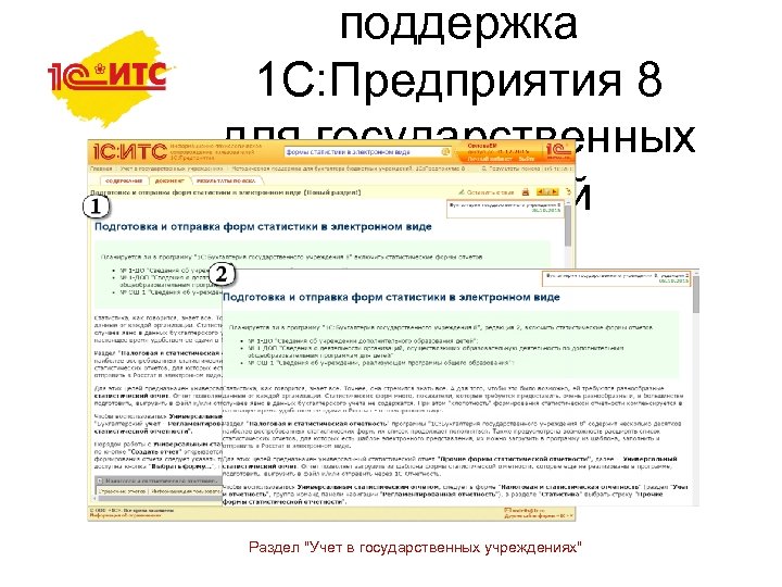 поддержка 1 С: Предприятия 8 для государственных учреждений Раздел "Учет в государственных учреждениях" 