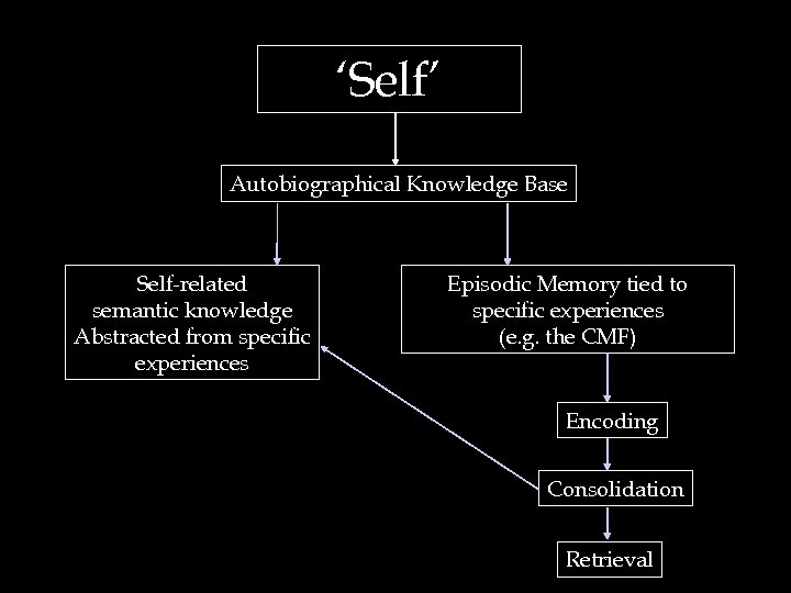 ‘Self’ Autobiographical Knowledge Base Self-related semantic knowledge Abstracted from specific experiences Episodic Memory tied