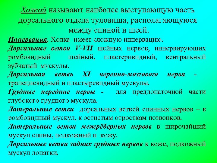 Холкой называют наиболее выступающую часть дорсального отдела туловища, располагающуюся между спиной и шеей. Иннервация.