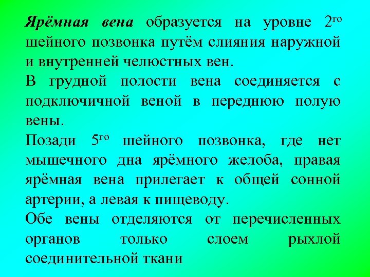 Ярёмная вена образуется на уровне 2 го шейного позвонка путём слияния наружной и внутренней
