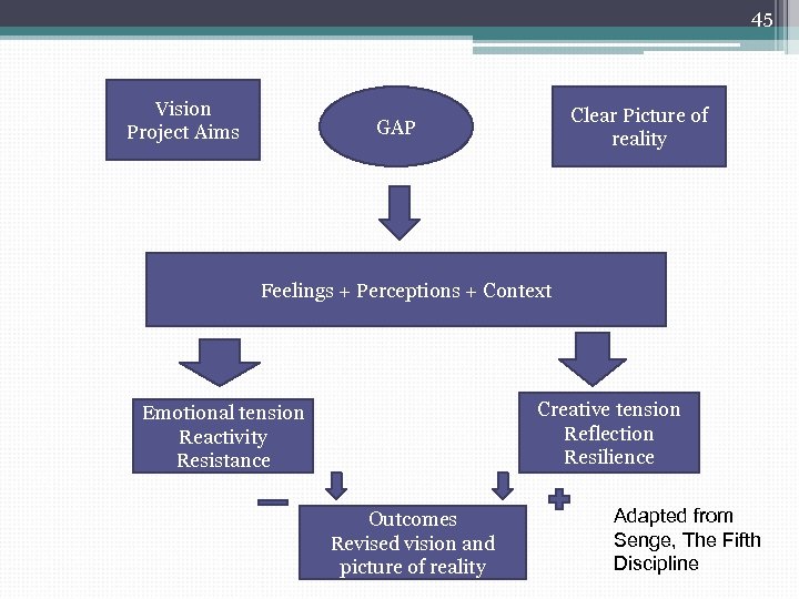 45 Vision Project Aims Clear Picture of reality GAP Feelings + Perceptions + Context