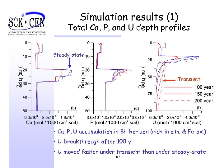 Simulation results (1) Total Ca, P, and U depth profiles Steady-state Transient • Ca,