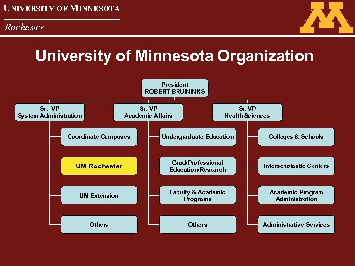 UNIVERSITY OF MINNESOTA Rochester University of Minnesota Organization President ROBERT BRUININKS Sr. VP System