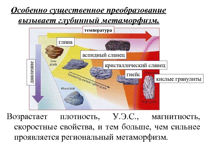 Особенно существенное преобразование вызывает глубинный метаморфизм. температура глина давление аспидный сланец кристаллический сланец гнейс
