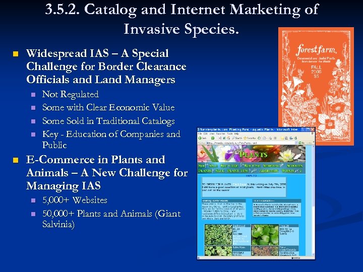 3. 5. 2. Catalog and Internet Marketing of Invasive Species. n Widespread IAS –