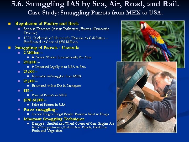 3. 6. Smuggling IAS by Sea, Air, Road, and Rail. Case Study: Smuggling Parrots