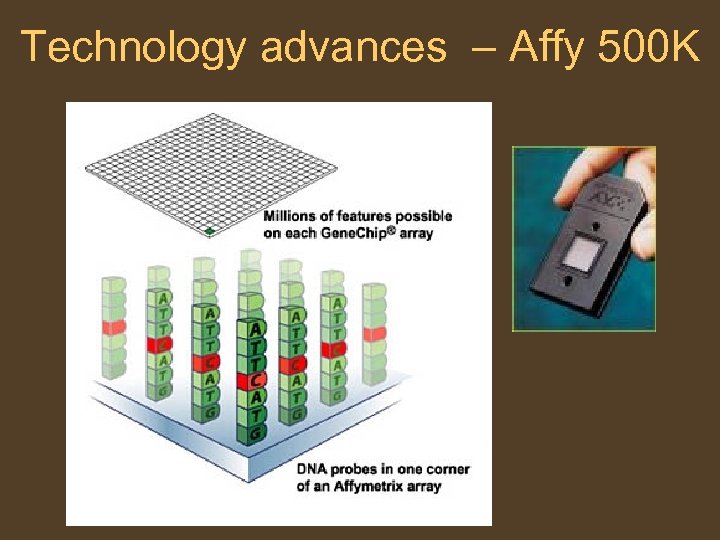 Technology advances – Affy 500 K 