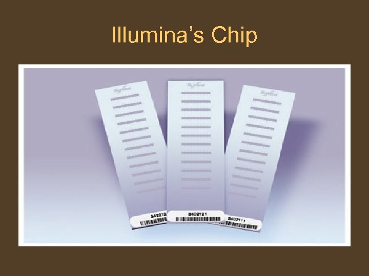 Illumina’s Chip 