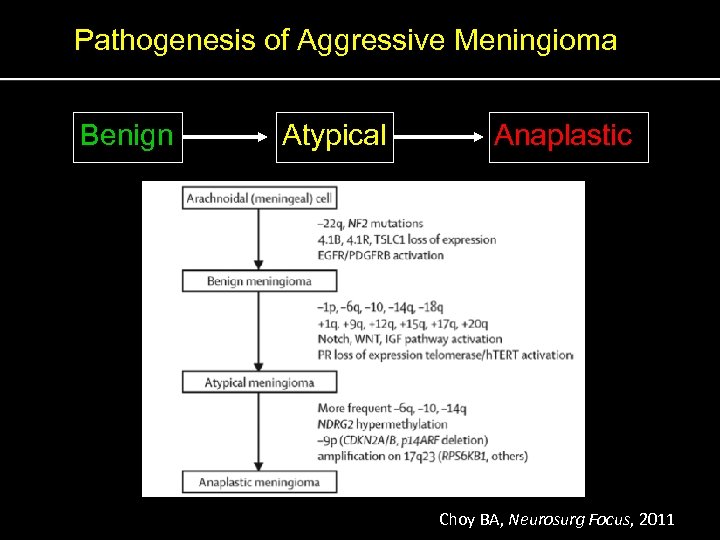 Pathogenesis of Aggressive Meningioma Benign Atypical Anaplastic Choy BA, Neurosurg Focus, 2011 