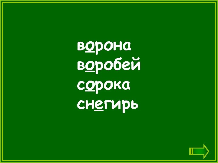 ворона воробей сорока снегирь 