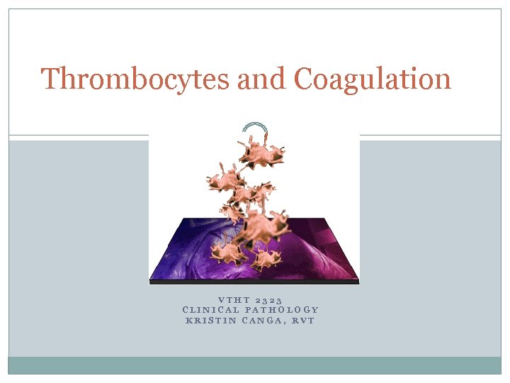 Thrombocytes and Coagulation VTHT 2323 CLINICAL PATHOLOGY KRISTIN CANGA, RVT 