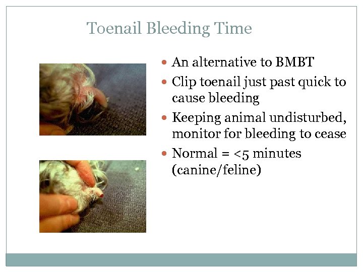Toenail Bleeding Time An alternative to BMBT Clip toenail just past quick to cause