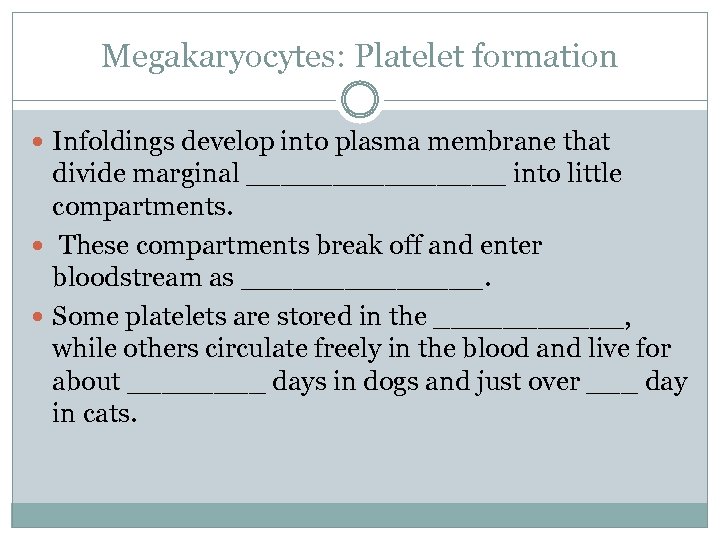 Megakaryocytes: Platelet formation Infoldings develop into plasma membrane that divide marginal ________ into little