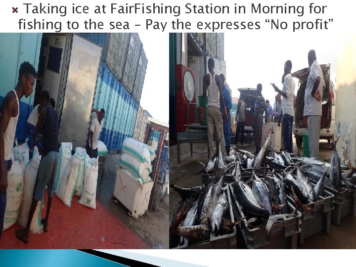 Taking ice at Fair. Fishing Station in Morning for fishing to the sea –