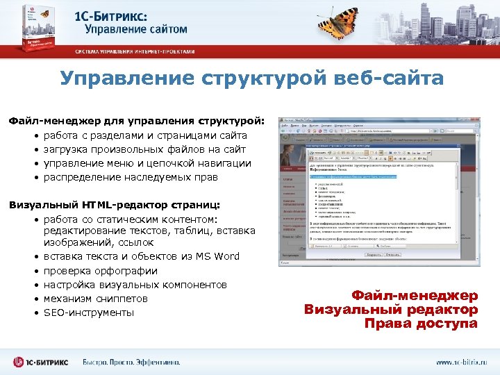 Управление структурой веб-сайта Файл-менеджер для управления структурой: • работа с разделами и страницами сайта