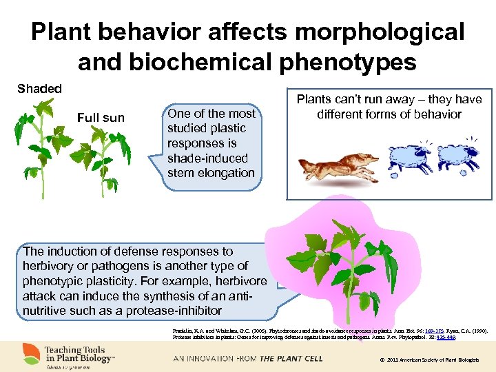 Plant behavior affects morphological and biochemical phenotypes Shaded Full sun One of the most