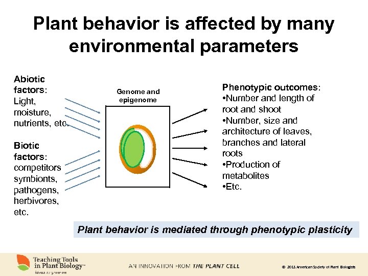 Plant behavior is affected by many environmental parameters Abiotic factors: Light, moisture, nutrients, etc.