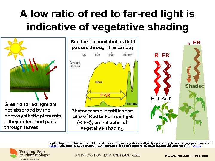 A low ratio of red to far-red light is indicative of vegetative shading Red