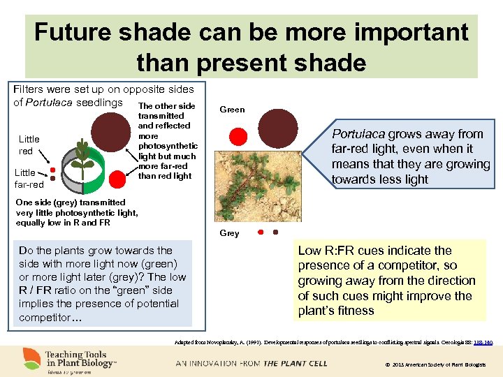 Future shade can be more important than present shade Filters were set up on