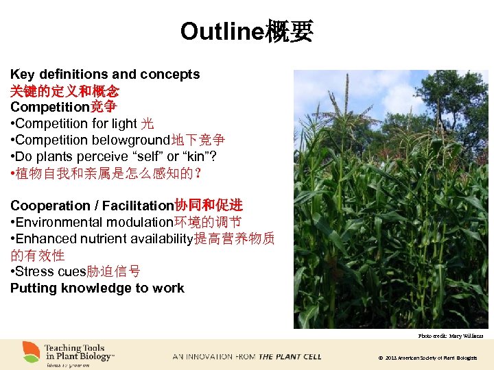 Outline概要 Key definitions and concepts 关键的定义和概念 Competition竞争 • Competition for light 光 • Competition